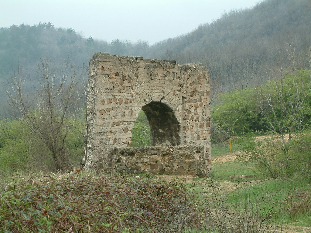 DSCF0302.JPG