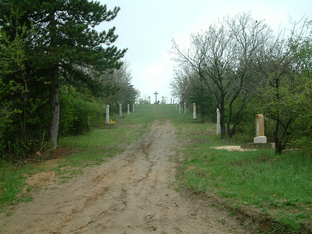 DSCF0305.JPG
