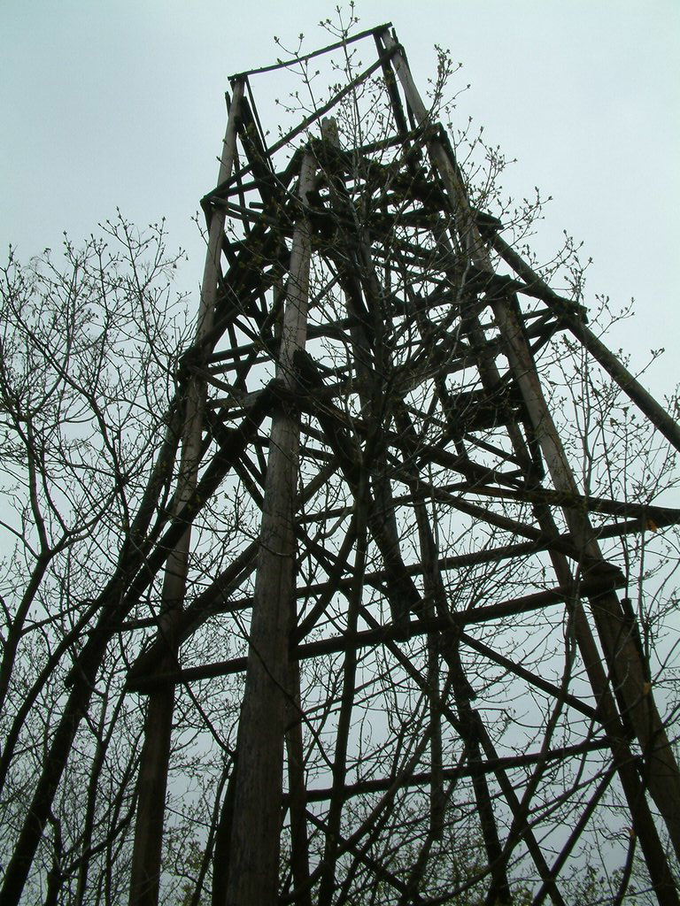 DSCF0307.JPG
