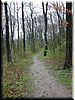 DSCF0244.JPG