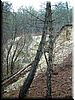 DSCF0246.JPG
