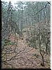 DSCF0247.JPG