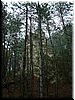 DSCF0249.JPG