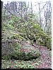 DSCF0253.JPG