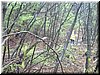 DSCF0256.JPG