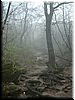 DSCF0259.JPG