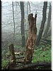 DSCF0261.JPG
