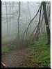 DSCF0267.JPG