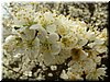 DSCF0269.JPG