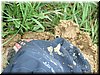 DSCF0276.JPG