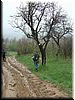 DSCF0277.JPG