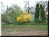 DSCF0278.JPG