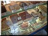 DSCF0282.JPG