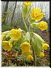 DSCF0285.JPG