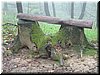 DSCF0289.JPG
