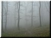 DSCF0292.JPG