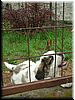 DSCF0295.JPG