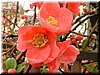 DSCF0296.JPG