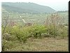 DSCF0298.JPG