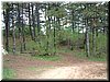 DSCF0303.JPG