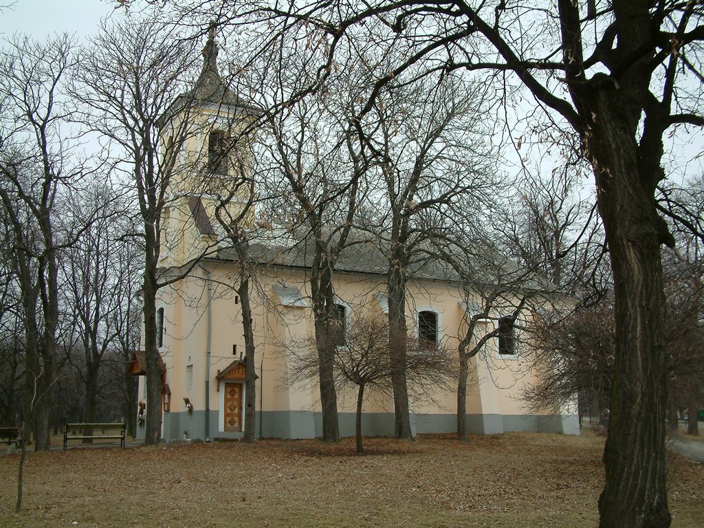 DSCF0004.JPG