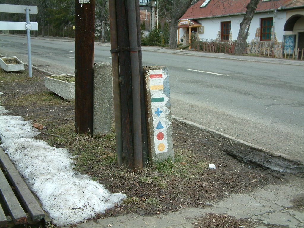 DSCF0006.JPG