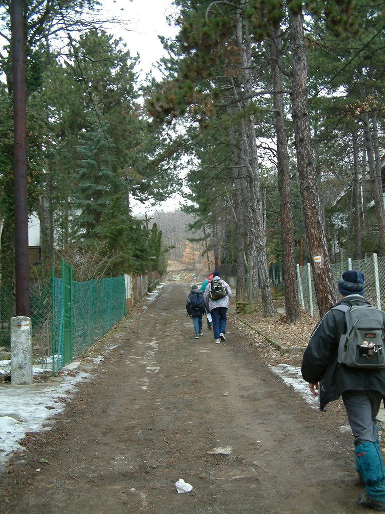 DSCF0007.JPG