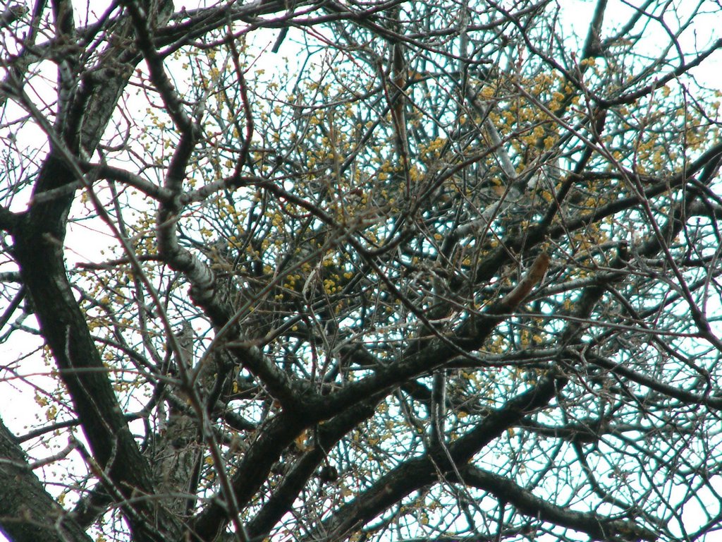 DSCF0009.JPG