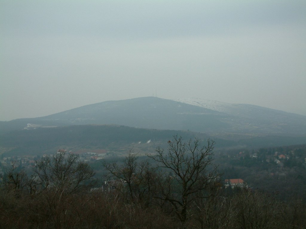 DSCF0015.JPG