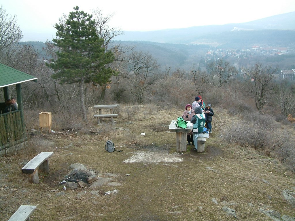 DSCF0016.JPG