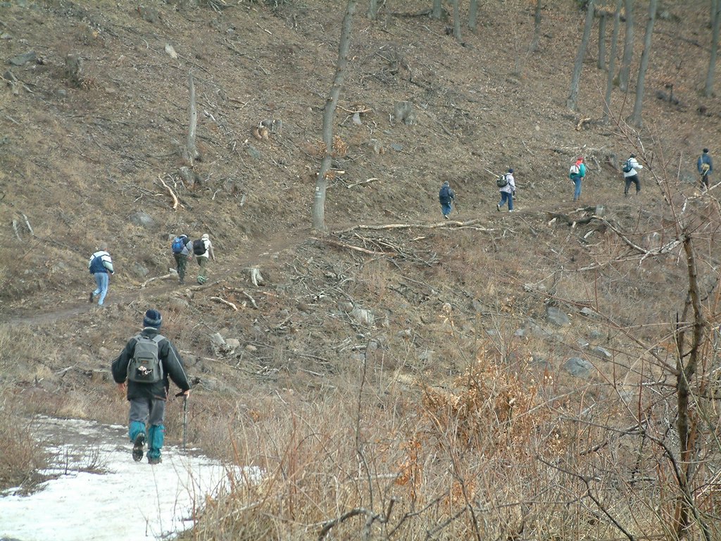 DSCF0021.JPG
