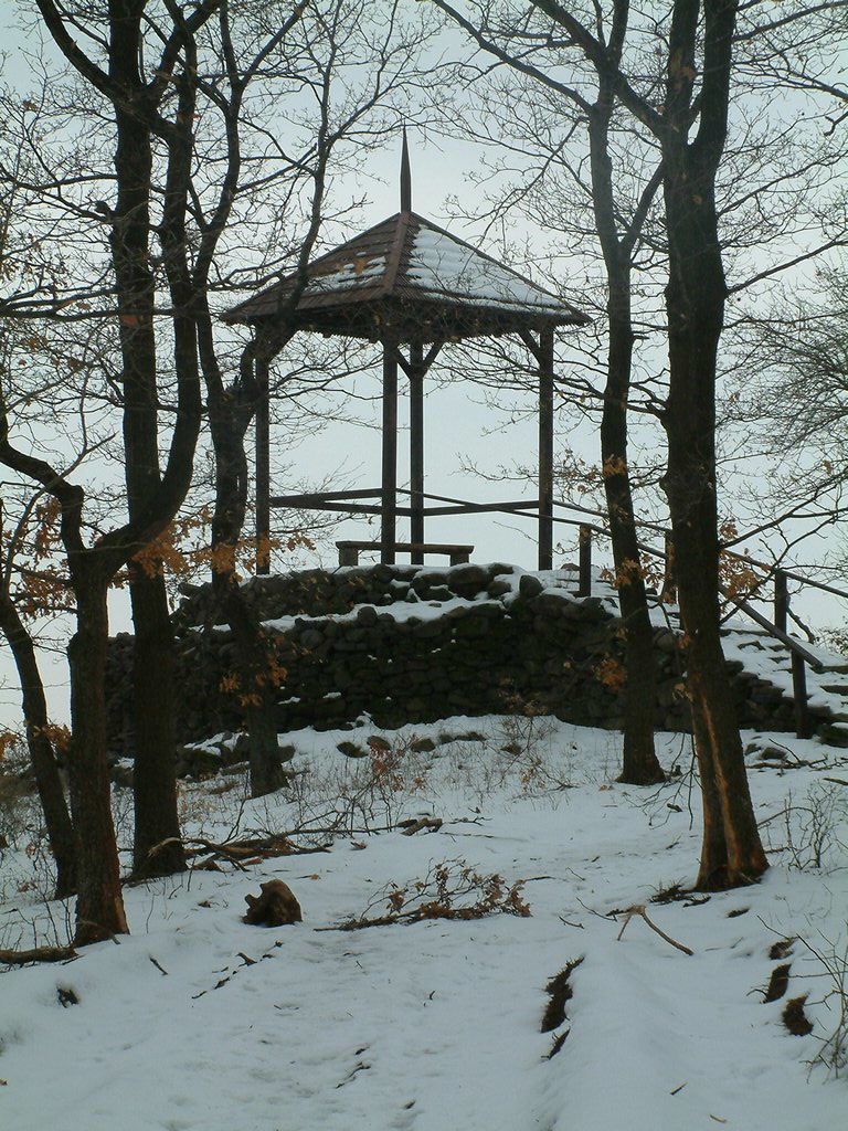 DSCF0022.JPG