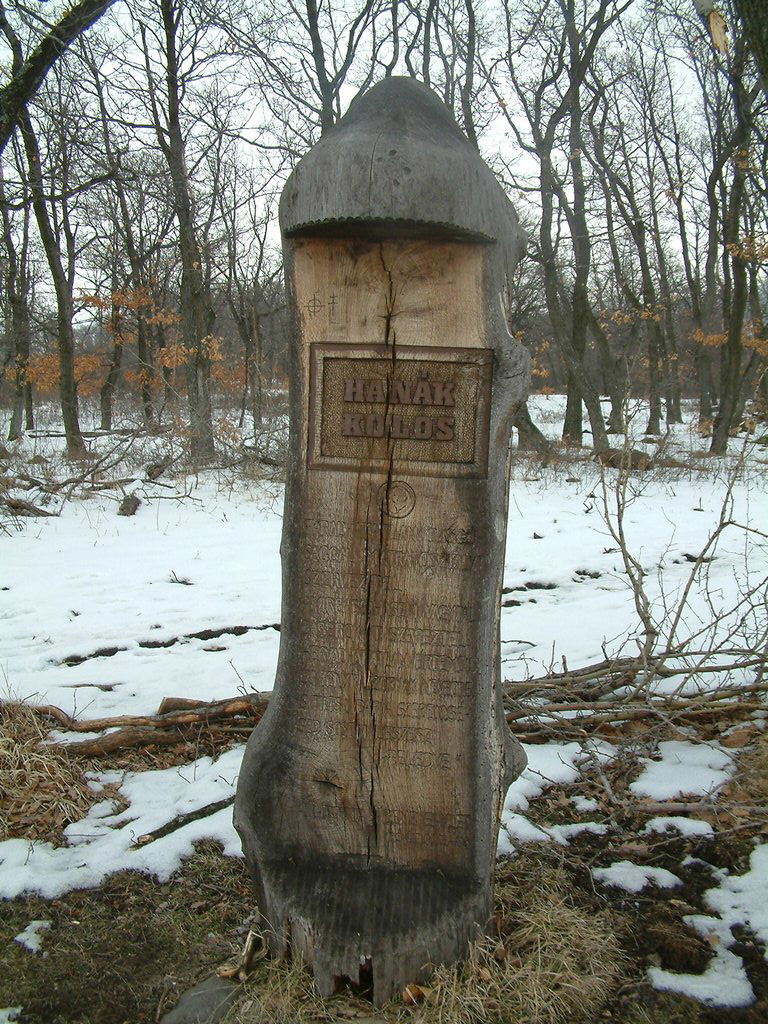 DSCF0024.JPG