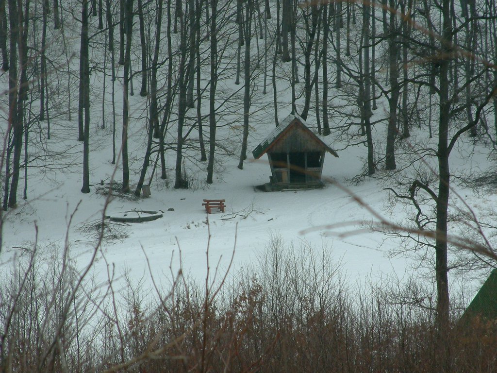 DSCF0029.JPG