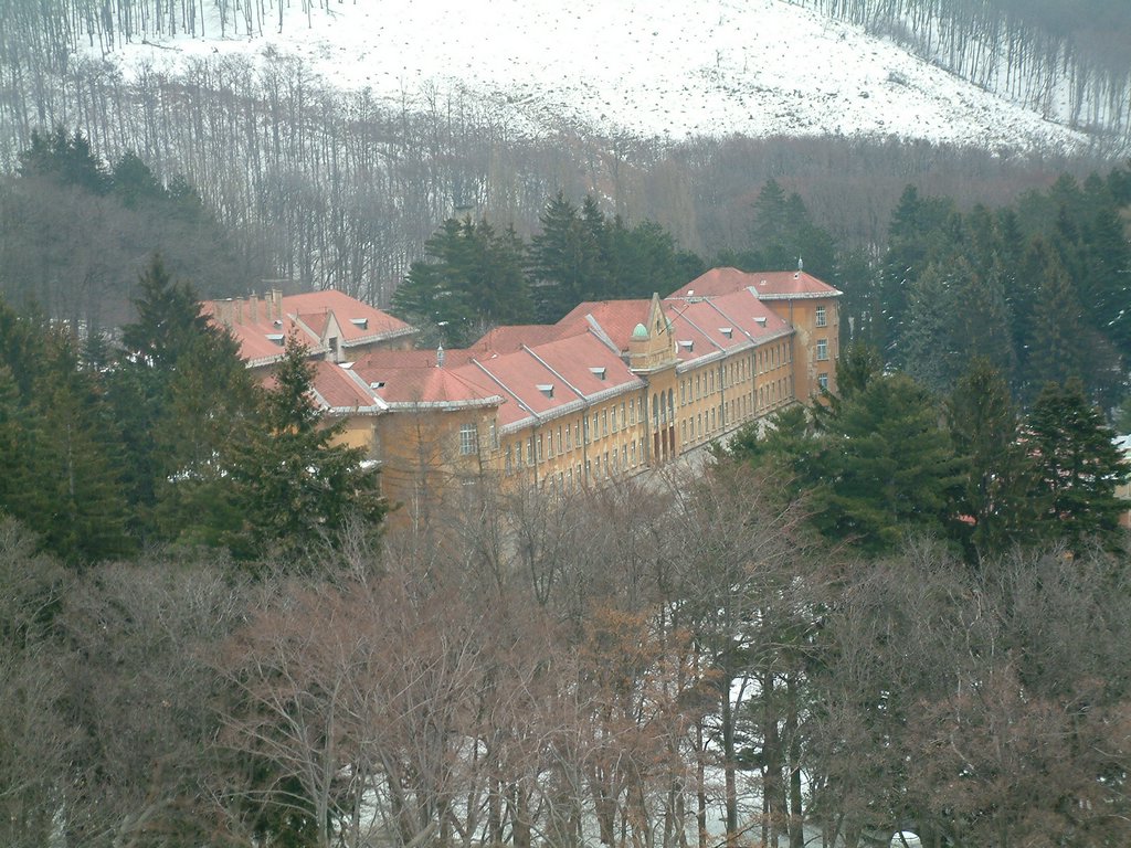DSCF0031.JPG