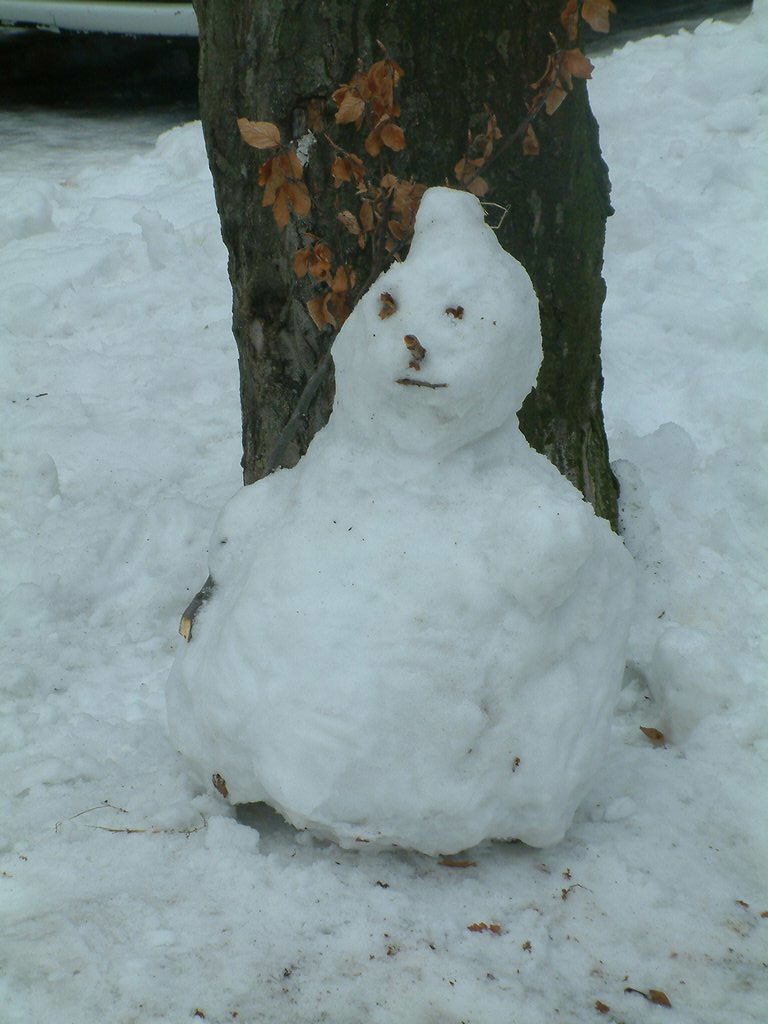 DSCF0035.JPG
