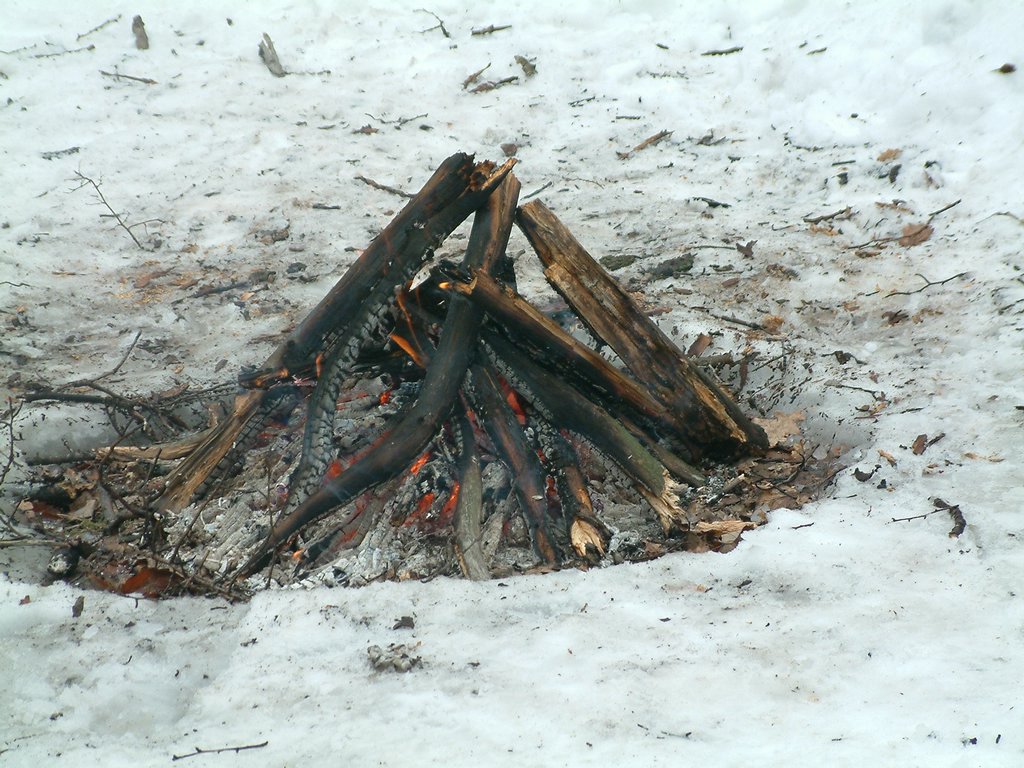 DSCF0040.JPG