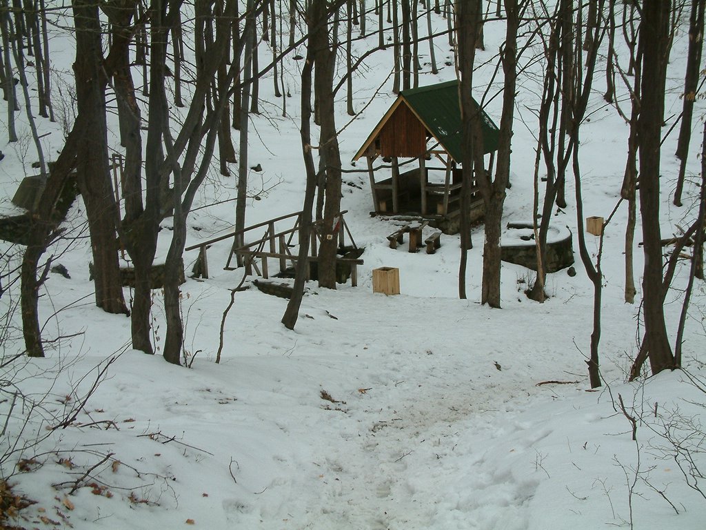 DSCF0041.JPG