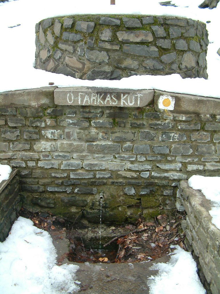 DSCF0045.JPG