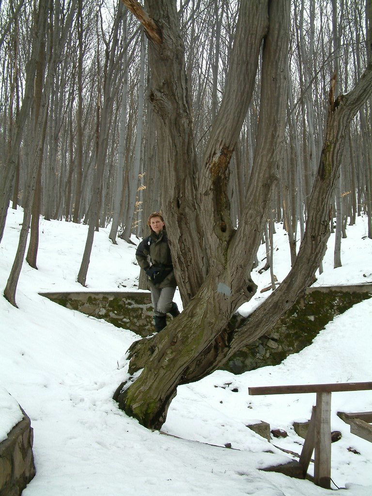 DSCF0046.JPG