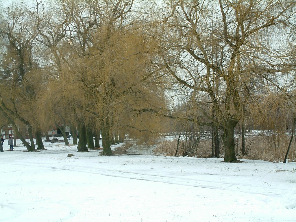 DSCF0051.JPG