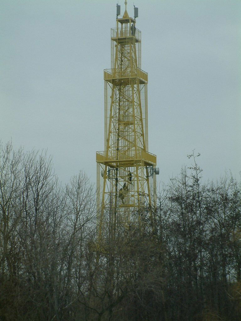 DSCF0053.JPG