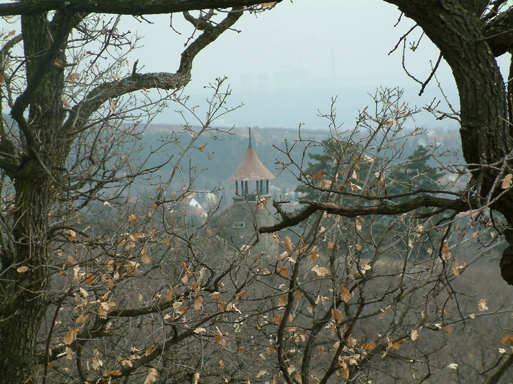 DSCF0062.JPG