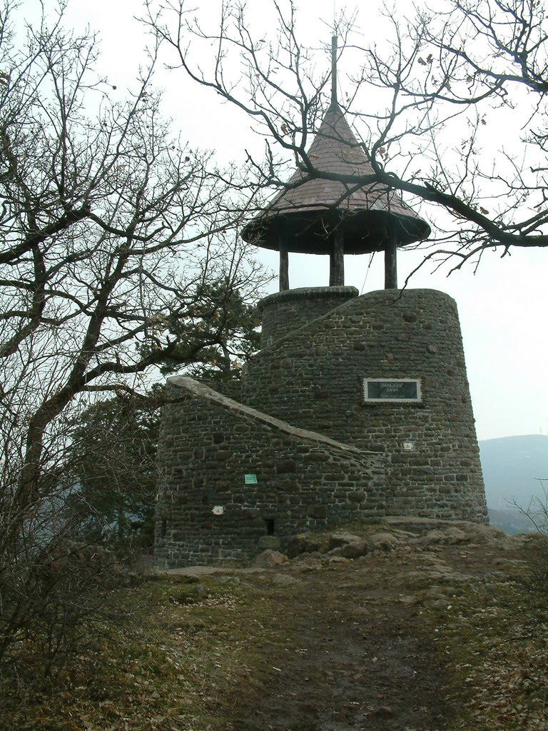 DSCF0065.JPG