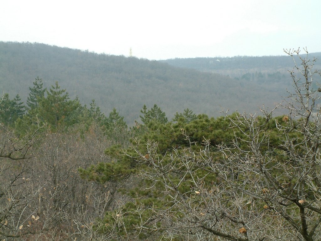 DSCF0068.JPG