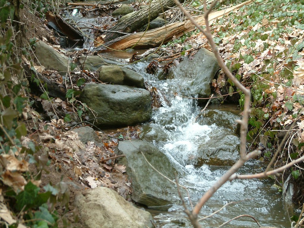 DSCF0073.JPG