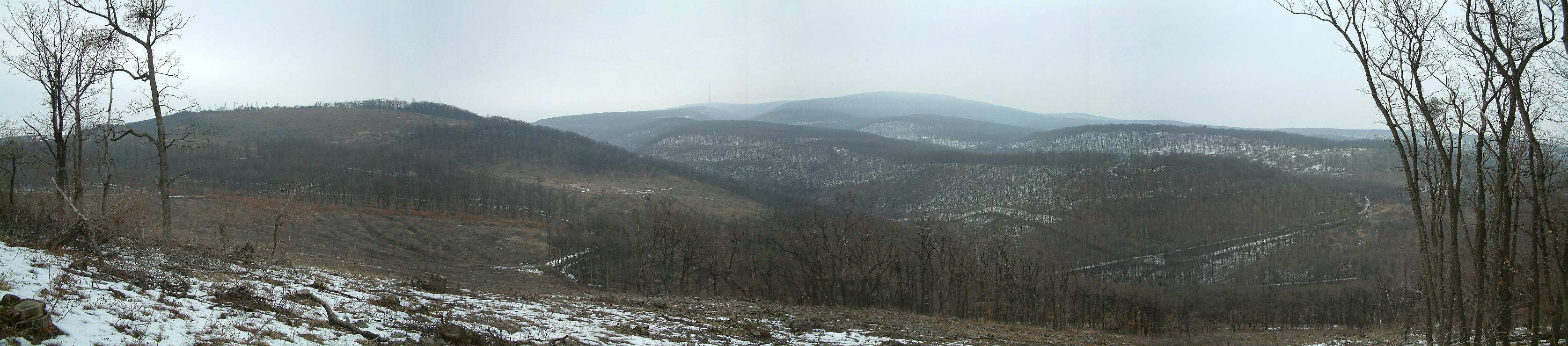 DSCF0083.JPG