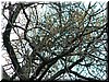 DSCF0009.JPG