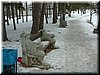 DSCF0026.JPG