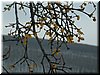 DSCF0032.JPG